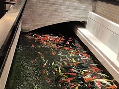 -龙悦湾酒家·八阵鱼生·渔人码头店