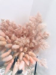-紫御国际抗衰ZOE ANTI AGING