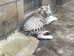 -西安秦岭野生动物园