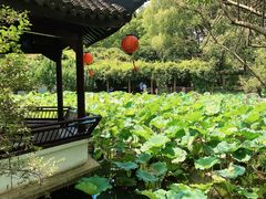 -上海醉白池公园