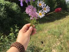 -塞罕坝国家级自然保护区