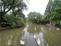 -洛阳市隋唐城遗址植物园