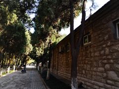 -山东大学(趵突泉校区)