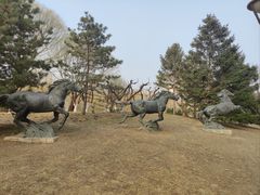 -元大都城垣遗址公园