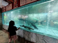 -年辉渔村·非遗传承餐厅(新丰江店)