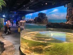 -江和美海洋公园