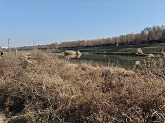 -洨河生态公园