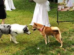 -青岛海尔洲际酒店