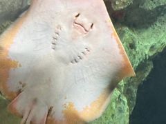 -珠海长隆海洋王国