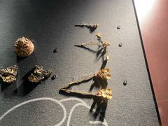 -镇江博物馆