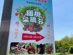 -广富林郊野公园