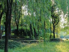 -大宁灵石公园西门票处