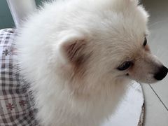 -怪兽屋·羊驼·猫咖·狗咖(俊华广场店)