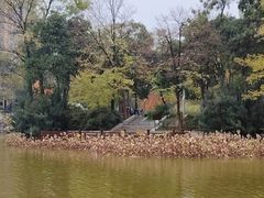 -西安市长乐公园