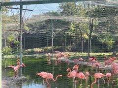 -石家庄市动物园