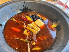 -鸽子刘铁锅炖鱼(劲松店)
