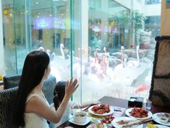 -白虎自助餐厅·真老虎·景观自助餐厅(广州长隆酒店)