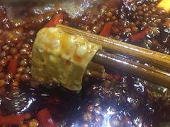 -星鸿社重庆老火锅