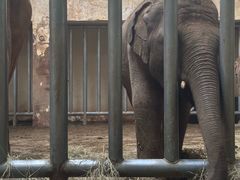 -石家庄市动物园