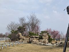 -武汉紫薇都市田园