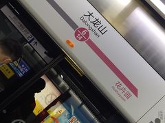 -大龙山(地铁站)