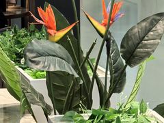 -必胜客(上海新南方商城PH店)