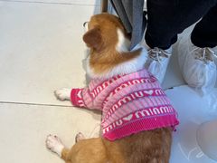 -怪兽屋·羊驼·猫咖·狗咖(俊华广场店)