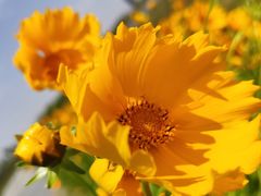 -春花秋色城市公园