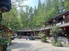 -青城甲(青城山店)