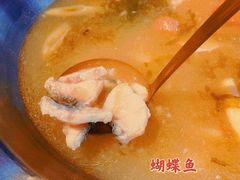-土著渔匠·养生蝴蝶鱼(香樟路店)