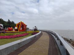 -野狸岛