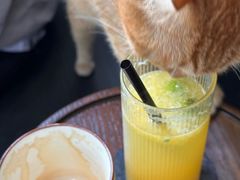 -COTTON CAFE(德信·中外公寓店)