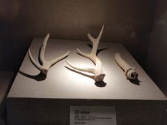 -南越王博物院(王宫展区)