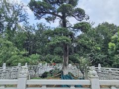 -南京东郊国宾馆