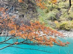 -叠溪松坪沟景区