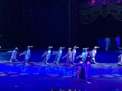 -珠海横琴长隆《卡卡虎奇遇记》