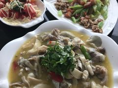 -云中小雅