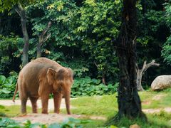 -广州长隆野生动物世界