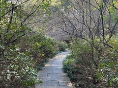 -杭州植物园