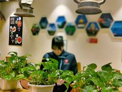-茶花妹子云南餐厅(传媒大学店)