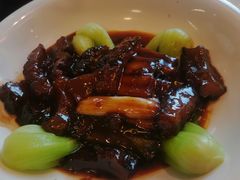 葱烧大乌参-新镇江酒家(南京西路店)