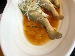 -鱼鲜饭香·招牌汽锅剁椒鱼头王