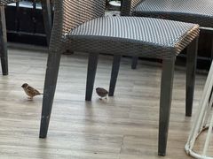 -哈根达斯(滨江店)