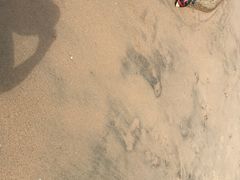 -那琴半岛地质海洋公园