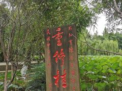 -桂湖森林公园
