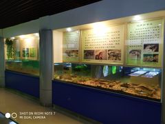 -上海昆虫博物馆