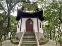 -上海佘山国家森林公园天马山园