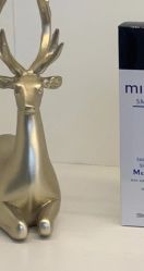 点击看大图 -IDOL PLUS