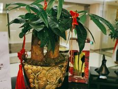 -得闲·高空SPA(东盟店)