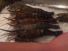 -Ministry of Crab(科伦坡店)